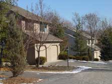 tree-lined entrance driveway