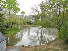 central pond