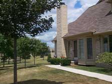 nice trees & landscaping