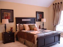 Master Bedroom with Cathedral or Tray Ceiling