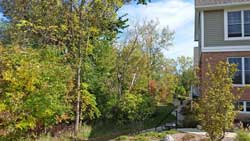 original building backs to pond & tree-line