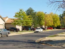 tree-lined streets