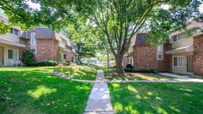 tree-lined walkways