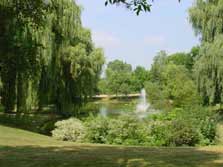 fountain & pond