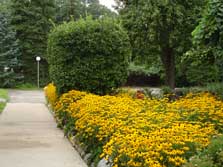 beautiful flower beds & landscaping