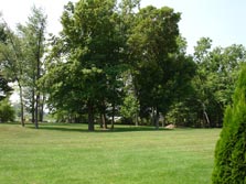 gorgeous tree-lined surroundings