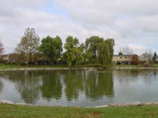 beautiful pond in center of development