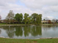 beautiful pond in center of development