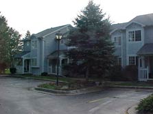 tree-lined courtyard setting