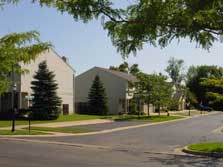 tree-lined streets