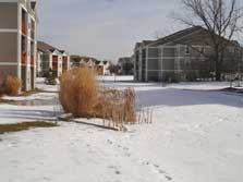 Heatherwood