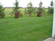 view from patio