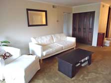 light-filled living room