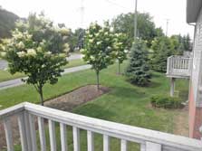 Deck view