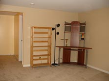 finished lower level flex area