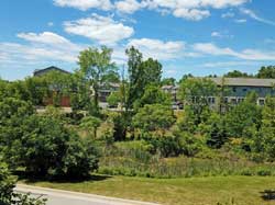 view from deck