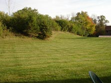 view from patio