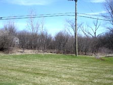 view from patio