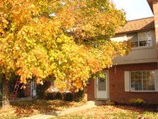 milan commons