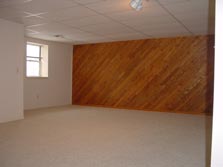 finished lower level with daylight/egress window