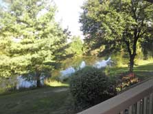 views to pond & nature