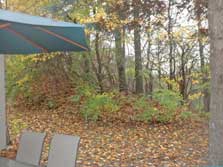 patio views to woods & tree-line