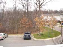 deck views to woods