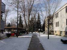 tree-lined buildings & sidewalks