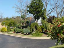 landscaped entrance