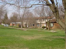 grassy common areas