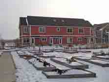 community vegetable garden