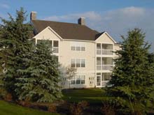 wonderful tree lined development